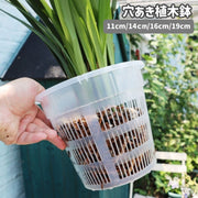 植木鉢 オーキッドポット 園芸用品 ガーデニング 穴あき 胡蝶蘭 多肉植物 観葉植物 プランター フラワーポット 屋内 屋外 クリア 透明