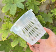植木鉢 オーキッドポット 園芸用品 ガーデニング 穴あき 胡蝶蘭 多肉植物 観葉植物 プランター フラワーポット 屋内 屋外 クリア 透明