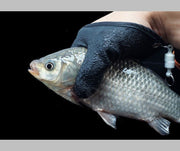 フィッシンググローブ 片手用 マグネットリリーサー付き 釣り用品 手袋 魚つかみ 魚掴み 右手用 左手用 防刃 滑り止め 着脱簡単 磁石付き メンズ レディース 大人 漁業 水産 右手 左手
