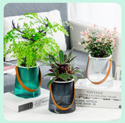 プランターカバー 植木鉢カバー フラワーポット 置き型 ガーデニング DIY インテリア 花瓶 鉢 観葉植物 お花 植木鉢入れ おしゃれ クリアカラー