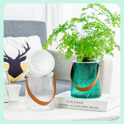 プランターカバー 植木鉢カバー フラワーポット 置き型 ガーデニング DIY インテリア 花瓶 鉢 観葉植物 お花 植木鉢入れ おしゃれ クリアカラー