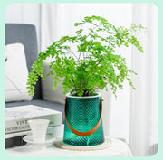 プランターカバー 植木鉢カバー フラワーポット 置き型 ガーデニング DIY インテリア 花瓶 鉢 観葉植物 お花 植木鉢入れ おしゃれ クリアカラー