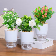 植木鉢 自動給水 フラワーポット プランター 観葉植物 多肉植物 円形 透明 クリア シンプル かわいい おしゃれ 卓上 園芸 ガーデニング