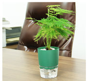 植木鉢 自動給水 フラワーポット プランター 観葉植物 多肉植物 円形 透明 クリア シンプル かわいい おしゃれ 卓上 園芸 ガーデニング