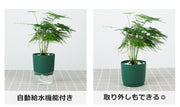 植木鉢 自動給水 フラワーポット プランター 観葉植物 多肉植物 円形 透明 クリア シンプル かわいい おしゃれ 卓上 園芸 ガーデニング