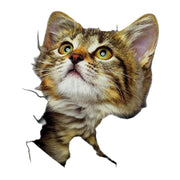 ウォールステッカー 壁ステッカー 壁紙シール 窓シール シール式 猫 キャット 子猫 3D トリックアート風 だまし絵風 インテリア雑貨 DIY 模様替え プチリフォーム 貼り付け簡単 イメージチェンジ リビング キッチン 子ども部屋 店舗 ペットショップ ルームデコレーション ウォールデコレーション 飾り付け 壁面装飾 壁装飾 室内装飾 かわいい キュート
