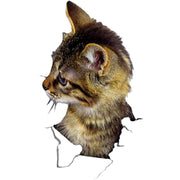 ウォールステッカー 壁ステッカー 壁紙シール 窓シール シール式 猫 キャット 子猫 3D トリックアート風 だまし絵風 インテリア雑貨 DIY 模様替え プチリフォーム 貼り付け簡単 イメージチェンジ リビング キッチン 子ども部屋 店舗 ペットショップ ルームデコレーション ウォールデコレーション 飾り付け 壁面装飾 壁装飾 室内装飾 かわいい キュート