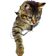 ウォールステッカー 壁ステッカー 壁紙シール 窓シール シール式 猫 キャット 子猫 3D トリックアート風 だまし絵風 インテリア雑貨 DIY 模様替え プチリフォーム 貼り付け簡単 イメージチェンジ リビング キッチン 子ども部屋 店舗 ペットショップ ルームデコレーション ウォールデコレーション 飾り付け 壁面装飾 壁装飾 室内装飾 かわいい キュート