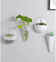 フラワーベース 壁掛け 花瓶 花器 フラワーポット インテリア雑貨 一輪挿し 半球型 クリア 透明 小型 シンプル かわいい おしゃれ コンパクト