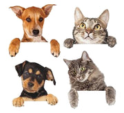 ウォールステッカー 壁紙シール ウォールシール 犬 猫 リアル いぬ ねこ イヌ ネコ 壁シール DIY 壁面装飾 壁装飾 室内装飾 ルームデコレーション リフォーム パーティー イベント 飾り付け 雑貨 小物 インテリア