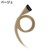 エクステ エクステンション レディース ポイントウィッグ つけ毛 ロング ストレート 襟足 メッシュ ワンタッチ 取り付け簡単