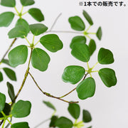 フェイクグリーン 大 人工観葉植物 造花 緑 枯れない インテリア 飾り リアル ホームガーデン 卓上 ベランダ トイレ 窓際