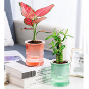 植木鉢 フラワーポット 水耕栽培 自動給水 貯水槽付き 水やり簡単 丸型 観葉植物 多肉植物 園芸 ガーデニング 屋内 竹 節 かわいい おしゃれ シンプル