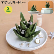 アクセサリートレー トレイ アクセサリースタンド アクセサリーケース アクセサリーホルダー 収納 お皿 アロエ 植物 指輪 リング ネックレス 置物 小物