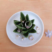 アクセサリートレー トレイ アクセサリースタンド アクセサリーケース アクセサリーホルダー 収納 お皿 アロエ 植物 指輪 リング ネックレス 置物 小物