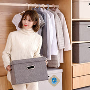 収納ボックス 収納ケース 箱 BOX 押し入れ収納 折り畳み 蓋付き 持ち手付き 大容量 省スペース 衣類 洋服 おもちゃ タオル シーツ 防塵 整理 整頓 衣替え