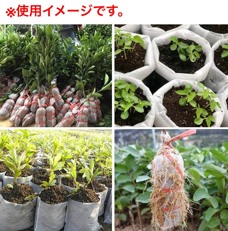 育苗ポット 100枚入り 不織布 マチあり 苗ポットバッグ 不織布プランター 商品画像3