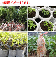 育苗ポット 100枚入り 不織布 マチなし 苗ポットバッグ 不織布プランター 苗ポット 育成バッグ 園芸 植栽 植物 農園 セルトレイ 園芸プランター 入れ物