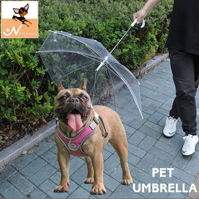 ペット用傘 ビニール傘 透明傘 ペット用品 ペットグッズ 犬 ドッグ 小型犬 お散歩グッズ レイングッズ 雨の日 チェーン付き リード付き 傘 アンブレラ 防水 便利 シンプル お出かけ 散歩 クリアカラー