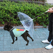 ペット用傘 ビニール傘 透明傘 ペット用品 ペットグッズ 犬 ドッグ 小型犬 お散歩グッズ レイングッズ 雨の日 チェーン付き リード付き 傘 アンブレラ 防水 便利 シンプル お出かけ 散歩 クリアカラー