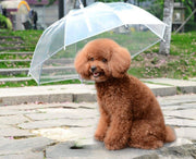 ペット用傘 ビニール傘 透明傘 ペット用品 ペットグッズ 犬 ドッグ 小型犬 お散歩グッズ レイングッズ 雨の日 チェーン付き リード付き 傘 アンブレラ 防水 便利 シンプル お出かけ 散歩 クリアカラー