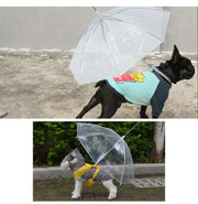 ペット用傘 ビニール傘 透明傘 ペット用品 ペットグッズ 犬 ドッグ 小型犬 お散歩グッズ レイングッズ 雨の日 チェーン付き リード付き 傘 アンブレラ 防水 便利 シンプル お出かけ 散歩 クリアカラー