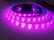 植物育成ライト LEDテープライト プラントライト 1m 2m USB 防水 ガーデニング 日照不足解消 光 室内栽培 観葉植物