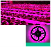 植物育成ライト LEDテープライト プラントライト 1m 2m USB 防水 ガーデニング 日照不足解消 光 室内栽培 観葉植物
