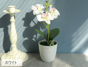 造花 フェイクフラワー 鉢植え付き 花 フラワー 鉢花 花飾り 胡蝶蘭 アーティフィシャルフラワー アートフラワー インテリア雑貨 フラワーアレンジメント 人工 枯れない 葉付き リーフ付き プレゼント 贈り物 リビング 玄関 おしゃれ かわいい 白 紫 ピンク 緑