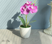 造花 フェイクフラワー 鉢植え付き 花 フラワー 鉢花 花飾り 胡蝶蘭 アーティフィシャルフラワー アートフラワー インテリア雑貨 フラワーアレンジメント 人工 枯れない 葉付き リーフ付き プレゼント 贈り物 リビング 玄関 おしゃれ かわいい 白 紫 ピンク 緑