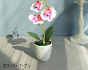 造花 フェイクフラワー 鉢植え付き 花 フラワー 鉢花 花飾り 胡蝶蘭 アーティフィシャルフラワー アートフラワー インテリア雑貨 フラワーアレンジメント 人工 枯れない 葉付き リーフ付き プレゼント 贈り物 リビング 玄関 おしゃれ かわいい 白 紫 ピンク 緑