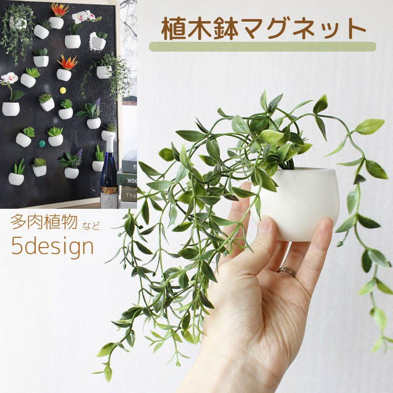マグネット 多肉植物 サボテン 造花 インテリア リビング ガーデニング アートフラワー 装飾 飾り ギフト 誕生日 プレゼント