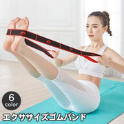 エクササイズバンド トレーニングチューブ ゴムバンド トレーニングベルト ループ 連続 ゴム 数字付き ヨガバンド フィットネス ダンス 柔軟トレーニング 筋トレ ストレッチ シェイプアップ ポージング 補助バンド