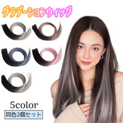 グラデーションエクステ 同色2個セット 2本セット ワンタッチエクステ インナーカラー レディース 女性 ポイントウィッグ つけ毛 ヘアアレンジ ヘアピン アッシュ系