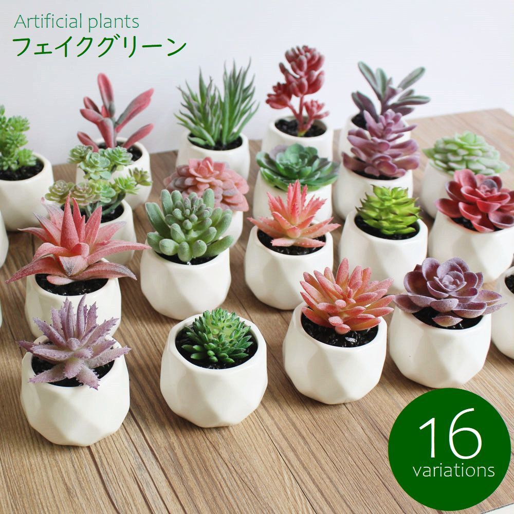 フェイクグリーン 単品 鉢植え 造花 人工多肉植物 ミニ コンパクト 人工観葉植物 インテリア グリーン プランツ リーフ 手入れ不要 アーティフィシャルグリーン 手軽 おしゃれ 装飾小物
