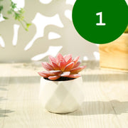 フェイクグリーン 単品 鉢植え 造花 人工多肉植物 ミニ コンパクト 人工観葉植物 インテリア グリーン プランツ リーフ 手入れ不要 アーティフィシャルグリーン 手軽 おしゃれ 装飾小物