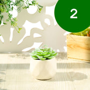 フェイクグリーン 単品 鉢植え 造花 人工多肉植物 ミニ コンパクト 人工観葉植物 インテリア グリーン プランツ リーフ 手入れ不要 アーティフィシャルグリーン 手軽 おしゃれ 装飾小物