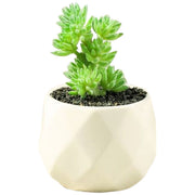 フェイクグリーン 単品 鉢植え 造花 人工多肉植物 ミニ コンパクト 人工観葉植物 インテリア グリーン プランツ リーフ 手入れ不要 アーティフィシャルグリーン 手軽 おしゃれ 装飾小物