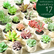 フェイクグリーン 単品 鉢植え 造花 人工多肉植物 ミニ コンパクト 人工観葉植物 インテリア グリーン プランツ リーフ 手入れ不要 アーティフィシャルグリーン 手軽 おしゃれ 装飾小物