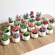 フェイクグリーン 単品 鉢植え 造花 人工多肉植物 ミニ コンパクト 人工観葉植物 インテリア グリーン プランツ リーフ 手入れ不要 アーティフィシャルグリーン 手軽 おしゃれ 装飾小物