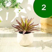 フェイクグリーン 単品 鉢植え 造花 人工多肉植物 ミニ コンパクト 人工観葉植物 インテリア グリーン プランツ リーフ 手入れ不要 アーティフィシャルグリーン 手軽 おしゃれ 装飾小物