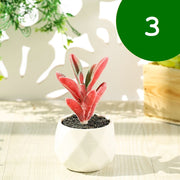 フェイクグリーン 単品 鉢植え 造花 人工多肉植物 ミニ コンパクト 人工観葉植物 インテリア グリーン プランツ リーフ 手入れ不要 アーティフィシャルグリーン 手軽 おしゃれ 装飾小物
