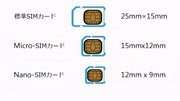 SIMカードホルダー カードケース 折り畳み SDカード パソコンアクセサリ 収納 整理 半透明 SIMピン付き 持ち運び 便利