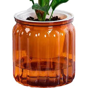 植木鉢 自動給水 プランター 室内栽培 貯水槽付き フラワーポット 観葉植物 水やり おしゃれ シンプル プラスチック クリア 花 ハーブ 多肉植物 インテリア