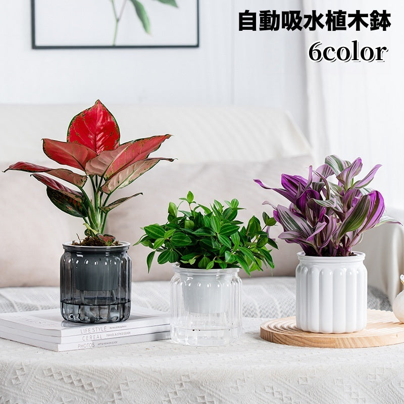 植木鉢 自動給水 プランター 室内栽培 貯水槽付き フラワーポット 商品画像