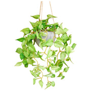フェイクグリーン 人工観葉植物 観葉植物 造花 インテリア用品 リーフ 葉っぱ おしゃれ 鉢 お祝い 壁掛け 吊り下げ 玄関 リビング