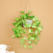 フェイクグリーン 人工観葉植物 観葉植物 造花 インテリア用品 リーフ 葉っぱ おしゃれ 鉢 お祝い 壁掛け 吊り下げ 玄関 リビング