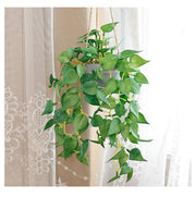 フェイクグリーン 人工観葉植物 観葉植物 造花 インテリア用品 リーフ 葉っぱ おしゃれ 鉢 お祝い 壁掛け 吊り下げ 玄関 リビング
