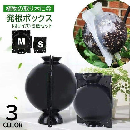 発根ボックス 5個セット 取り木ボール 植物 繁殖 株分け 商品画像