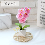 造花 胡蝶蘭 コチョウラン ラン 花 植物 ミニポット ミニ鉢植え イミテーション フェイクフラワー 卓上 リビング インテリア オシャレ 綺麗 母の日